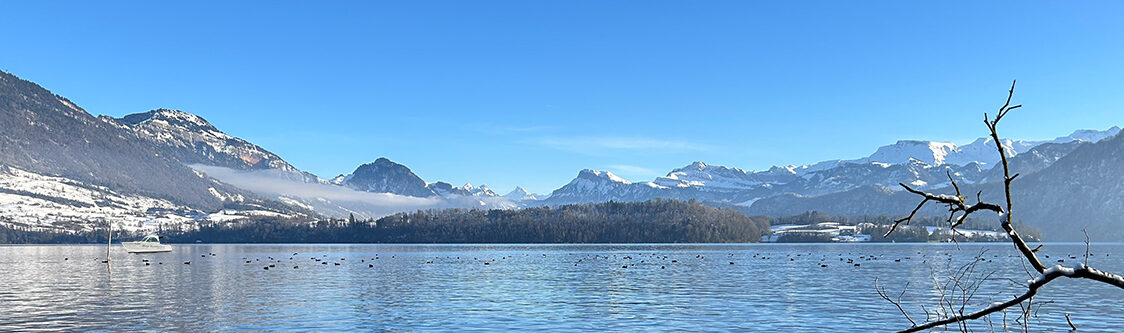 Bootsverein Vierwaldstättersee Luzern